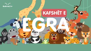 🐘 Kafshët e Egra për Fëmijë 🦧 Këngë Shqip për Fëmijë 🦁 Bubrreci TV #kafshët #kengeperfemije