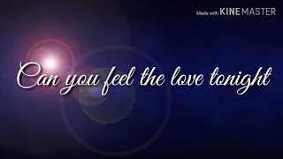 Leroy Sanchez - Can you feel the love tonight(lyrics)