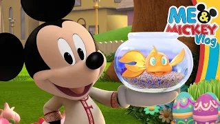 Nowruz Persian New Year Holiday Celebration with Mickey! 🎉| Me & Mickey | Vlog 41 | @disneyjunior