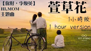 《你好，李煥英 Hi, Mom》張小斐 - 萱草花 (1小時版 1 hour version) 🌿  你好，李煥英  電影主題曲