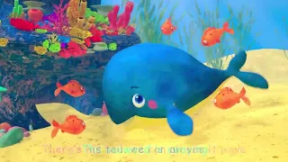 Baby Blue Whale Song   CoComelon Nursery Rhymes & Kids Songs