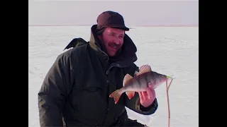 Зимняя ловля окуня на степных озерах северного Казахстана