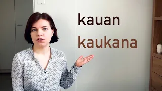 Anniina selittää: Finnish words that look the same | Part 4