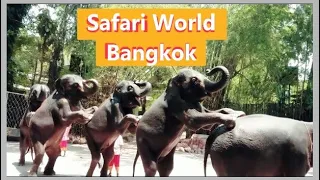 ELEPHANT SHOW || Safari World Bangkok, Thailand || Amazing Thailand