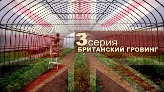 #150 С первого курса в миллионеры. Сериал об агротехнике в Великобритании. Серия 3/3.