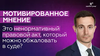 Мотивированное мнение – ненормативный акт, который можно обжаловать в суде? Евгений Леонов