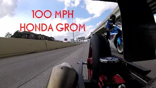 100+MPH Honda Grom Top Speed Run 300cc swapped