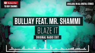 Bulljay feat. Mr. Shammi - Blaze It (Original Radio Edit) // Big Room