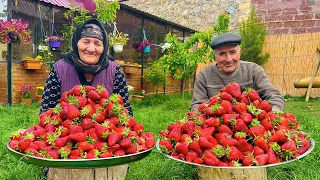 Harvested Fresh Strawberries! Making Jam and Cake in the Village House!