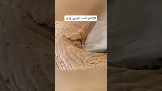 كيف يبدو الجسم البشري تحت المجهر 😳🔬