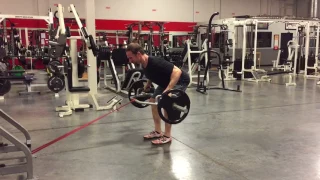 Trap Bar Movements With Horizontal Band Resistance