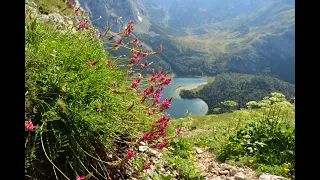 Maglić 2386m, Prijevor, Trnovačko jezero, Bazen Sutjeska, Vrelo Bosne jul 2021.