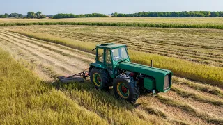 Dutra 1000 | Szálastakarmány betakarítás |