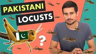 Locust Attack in India | Explained by Dhruv Rathee