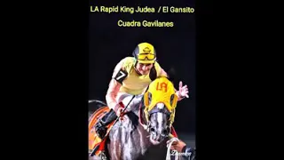 El rápid King Judea/El Gansito Cuadra Gavilanes Chunny González