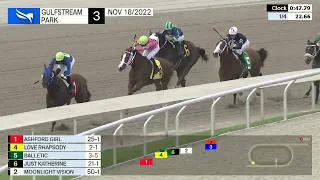 Gulfstream Park Carrera 3 - 18 de Noviembre 2022