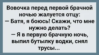 Вовочка Перед Первой Брачной Ночью Жалуется Отцу! Сборник Свежих Анекдотов! Юмор!