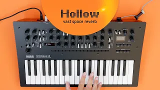 Sinevibes Hollow vast space reverb – on KORG minilogue xd