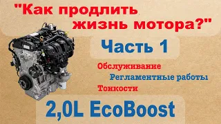 2,0L EcoBoost - Как продлить жизнь мотора? Обслуживание, регламентные работы, тонкости - Часть 1