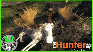 Giant Trophy Albino Moose (super rare) | theHunter Classic!