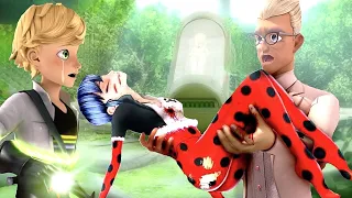 Ladybug im Koma! - Miraculous