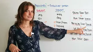 Learn Norwegian in 30 Minutes - ALL the Norwegian Grammar Basics You Need