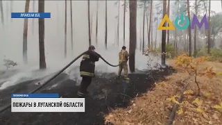 Пожары в Луганской области: спасатели не могут ликвидировать один очаг возгорания