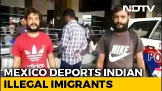 Mexico Deports Over 300 Indians To Delhi In "Unprecedented" Move