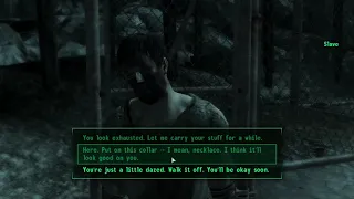 Enslaving slaves #fallout3