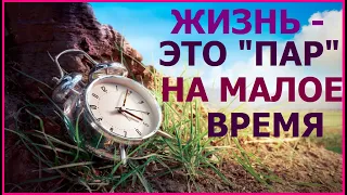 2.2 "Жизнь – это пар на малое время" (Иак.4:14). Свидетели Иеговы