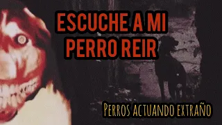 PERROS ACTUANDO COMO HUMANOS | HISTORIAS DE TERROR