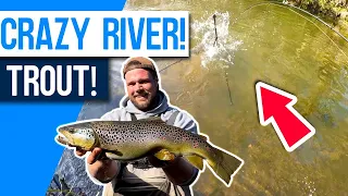 This Trout went CRAZY! River Lure fishing for WILD brown trout