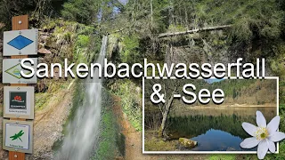 Schankenbachwasserfall & -See bei Baiersbronn