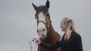 Kelpies 10 Celebration