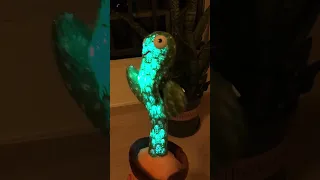 Dancing Cactus Plush Toys Interactive Smart Toy Unique Gift | Zybras Gift