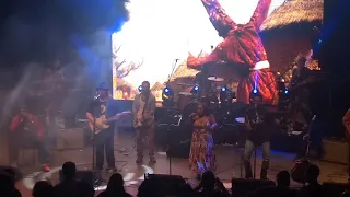 Playing For Change "Concha Acústica Salvador" 30/11/2018