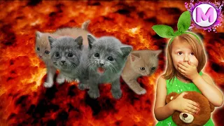 Пол это лава | история про спасение котят Mili&Family видео про животных