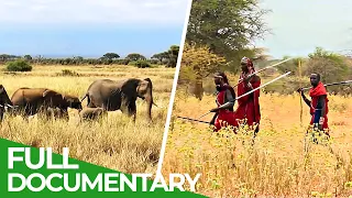 Man vs. Elephant - A Deadly Struggle | Giving Nature A Voice | Free Documentary Nature