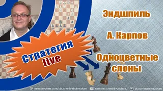 Эндшпиль. А.Карпов. Одноцветные слоны. Игорь Немцев. Обучение шахматам