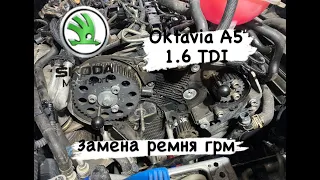 Skoda Oktavia A5 1.6 / 2.0 TDI Замена ремня ГРМ. Быстро, легко и подробно!!!
