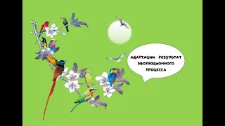 Биология. Адаптации. Гомологи и аналоги, рудименты и атавизмы. Зачем животные притворяются опасными?