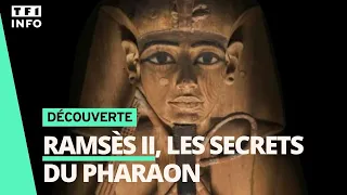 📚 Ramsès II pose ses valises à Paris