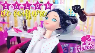 Barbie Salon de coiffure avec Marinette ladybug l Miraculous ladybug & Chat noir