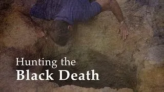 Hunting the Black Death