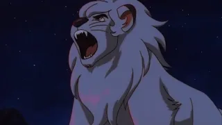 LEO THE WHITE LION ROARING 🦁 👑