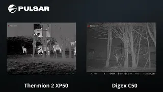 Pulsar Digex C50 vs Pulsar Thermion2XP50