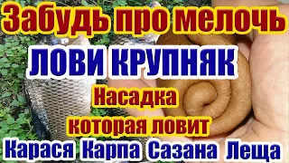 Забудь про мелочь Лови Крупняк! Насадка на Карася карп лещ Рыболовная насадка для карася