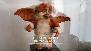 Movie Prop: Self-contained Animatronic Daffy Mogwai from Gremlins 2