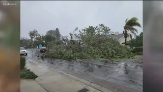 Storm damage clean up continues throughout San Diego County