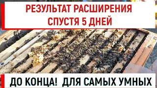 Самым умным посвящается... До КОНЦА! Результат "раннего" расширения через 5 дней.